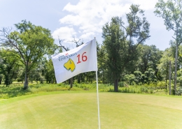 A white golf flag labeled “The Vineyards 16” waves on the green under a bright sky with tall trees in the background.